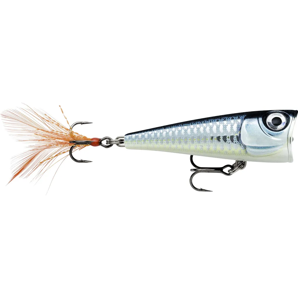 Rapala X-Light Pop Oberflächenköder FNP04 4cm 4.5g BAP