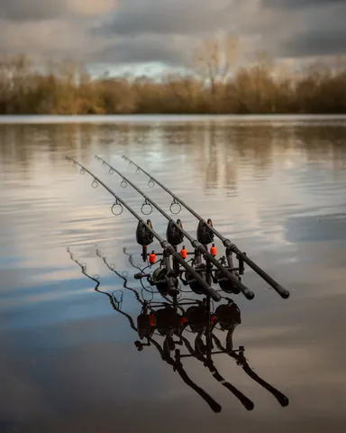 Fox EOS X Karpfenrute 3.66m 3.5lb 2-teilig