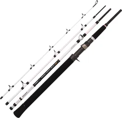 Spro Salty Beast Nano Mega Jig Travel BC Sea Fishing Rod 2.4m 450g 4pc