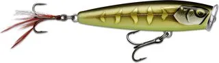 Rapala Skitter Pop Elite 9.5cm 17g Gilded Striped Grey Shiner