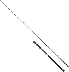 Hearty Rise Monster Game Tuna Hunter Spinnrute S 2.40m 40–130g 351g 178cm