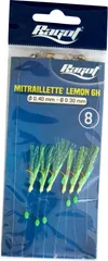 RAGOT Mitraillette Lemon Fertigvorfächer 6H4 #4 3.4g