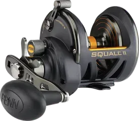 Penn Squall II Star Drag 25N 6.1:1 522g 11.3kg 102cm