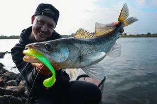 Meine absoluten Lieblingsköder von Fox Rage & Salmo