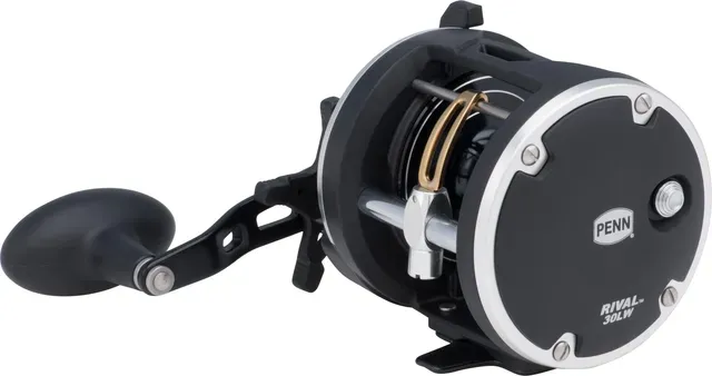 Penn Rival Level Wind 30 3.9:1 624g