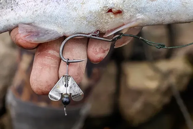 Black Cat Buzzer-Hook DG Haken #7/0 Silver