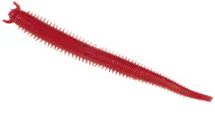 Berkley Gulp! Saltwater Fat Sandworm 10cm Red Belly Shrimp