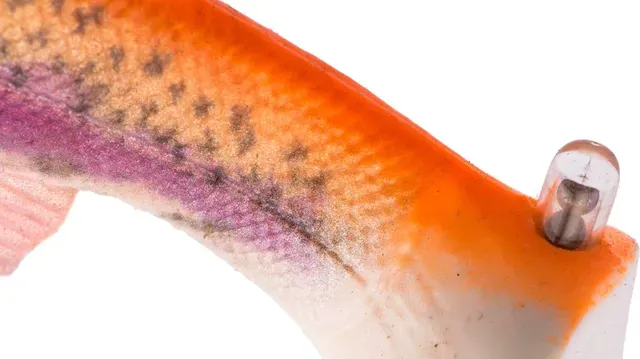 Savage Gear 4D Line Thru Perch Shad 20cm 100g Slow Sink Albino