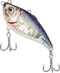 Westin Buzzvibe Meeresköder 100FS 10cm 57g Reefbait