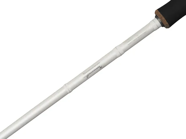 Abu Garcia Beast X2 Trolling Spinning Rod 822 H 2.49m 30–110g Fast