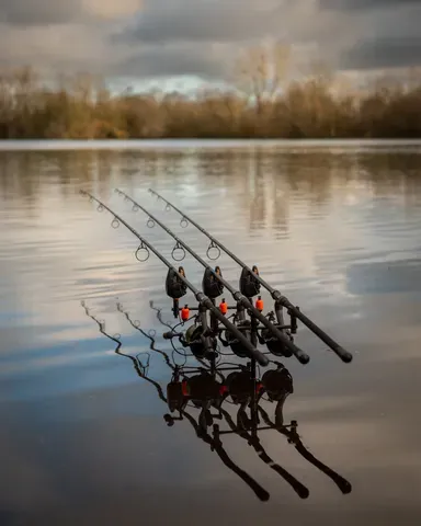 Fox EOS X Rute 3.66m 3.25lb