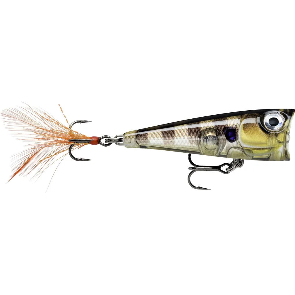 Rapala X-Light Pop Oberflächenköder FNP04 4cm 4.5g GGIU