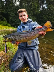 Savage Gear Seeker ISP Crankbait 9.8cm 0.5–1.5m 23g Green/Silver