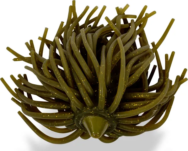 Black Cat Real Worm Teaser