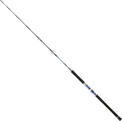 Hearty Rise Monster Game Jigging Meeresrute 1,62m 70-150g 1pc