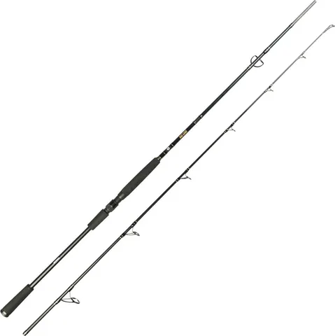 Spro Big Lure Spin Spinning Rod 2.4m 60–180g 2pc