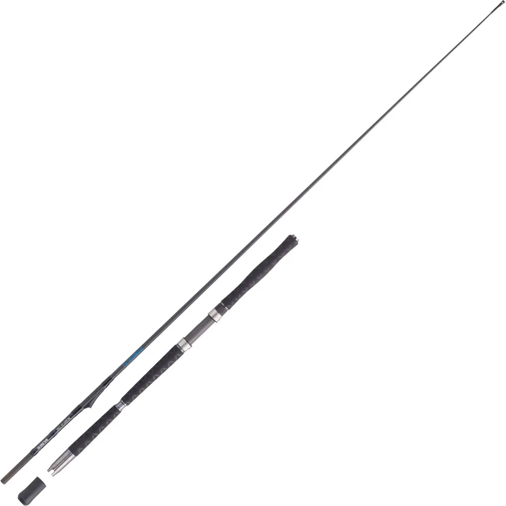 Balzer Adrenalin Inline Ultra Heavy 1200 Meeresrute 2.2m 400–1200g 2pc