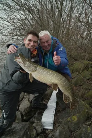 Berkley DEX Stunna 100 Jerkbaits 10cm 10.2g 0.7–1.5m Super Slow Sinking