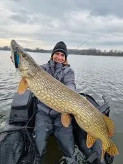 Abu Garcia Svartzonker McMy Tail Tail-Köder & Hybrid-Köder 20cm 83g 0.5–2m Blue Sunrise