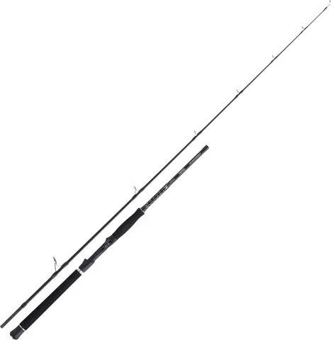 Balzer Valhall Xtreme Spin Meeresrute 2.2m 40–150g 2pc
