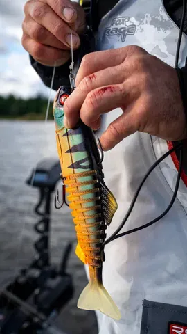 Fox Rage Jointed Replicant 27cm 241g Orange Belly Perch UV