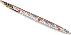 Savage Gear 3D Line Thru Sandeel 13.5cm 23g Sandeel Ghost