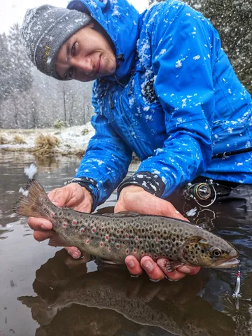 Savage Gear Rotex Spinner Inline Spinners 3.5g 11cm Dirty Silver