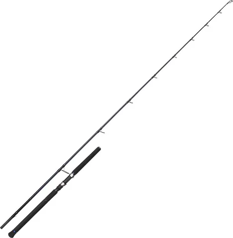 Westin W2 Offshore Powercast Sea Fishing Rod 2.49m 22–82g 2pc MH
