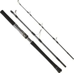 Hearty Rise Skywalker Jigging Spin Rute 1.63m 262g 420g 60cm