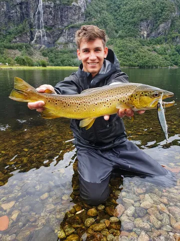 Berkley DEX Stunna 112 Plus1 Crankbaits 11.2cm 1.8–3m 14g Fire