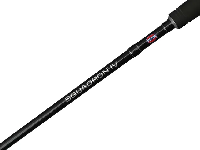 Penn Squadron IV Spin Spinning Rod SW 3m 20–60g Fast