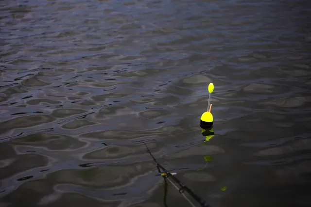 Black Cat Catfish Float 100g