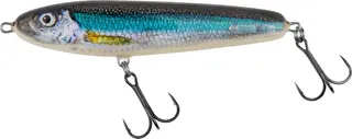 Salmo Sweeper Jerkbait 12cm Holo Smelt Sinking