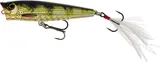 Westin Spot-On Popper Real Perch