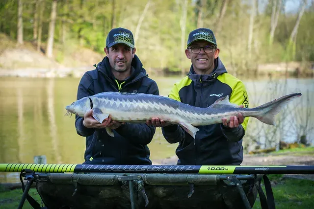 Matrix Torque Carp Power 10.0m Pole Package 765g X-Graphene