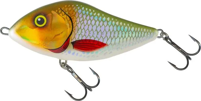 Salmo Slider 10cm 1m 36g Silver Halo