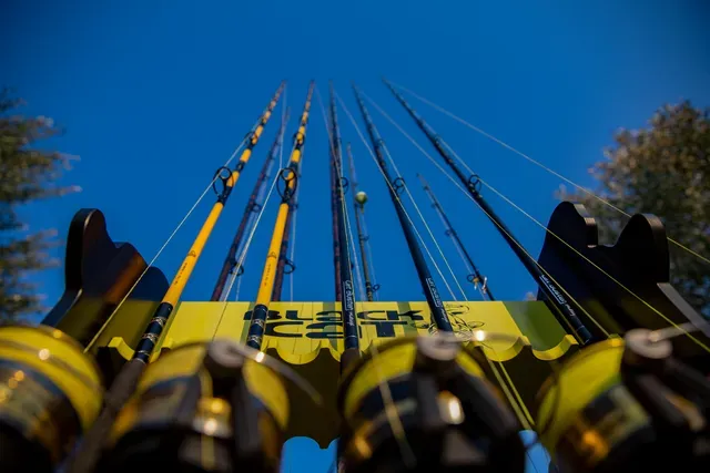 Black Cat Zeus Line G2 0.38mm 37kg 400m yellow