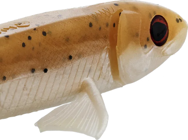 Westin Twinteez Pelagic Gummifische 21cm 70g Bass Orange