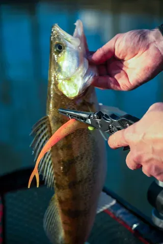 Fox Rage Belt Pliers 23cm Tungsten Carbide Side Cutters Serrated 420 Stainless Steel