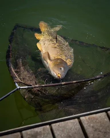 Fox Horizon X4S Landing Net 117cm Camo Mesh High Modulus Carbon