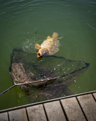 Fox Horizon X4S Landing Net 106.68cm Retractable