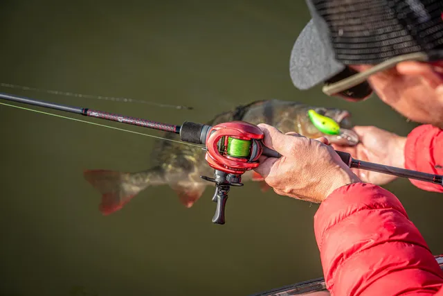 Lews KVD Elite Baitcasting Reel 6.2:1
