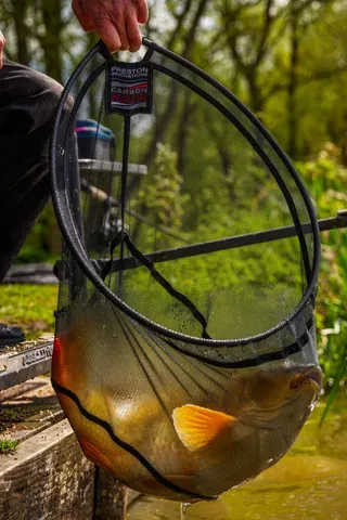 Preston Carbon Hair Mesh Kescher 45.7cm Carbon Hair Rig Safe