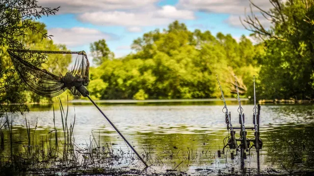 Prologic Snz Bissanzeiger Set 3P1 Red/Green/Blue