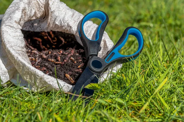 Preston Wurmschere Doppelklinge Edelstahl