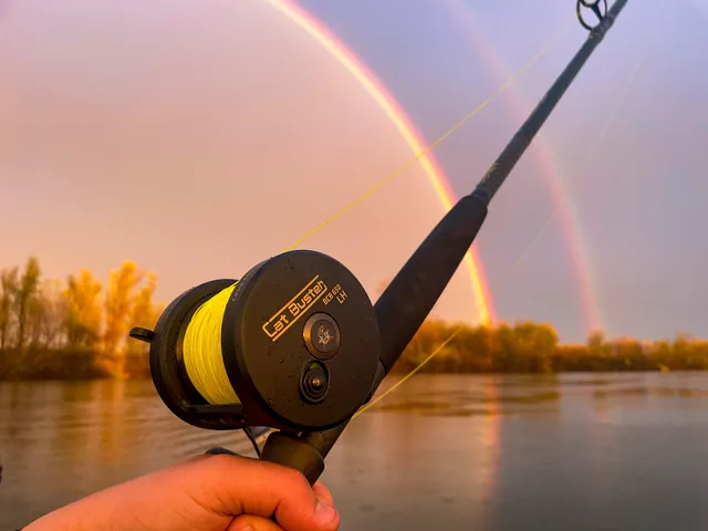 Black Cat Buster LH Spare Spool 650 16kg 750g 5.2:1