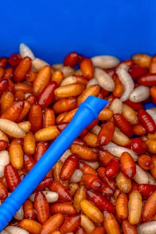 Preston Bander Disgorger Twin Pack 4mm