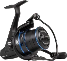 Penn Rival Baitrunner- & Karpfenrollen 6000LC 546g 8kg 87cm 4.8:1