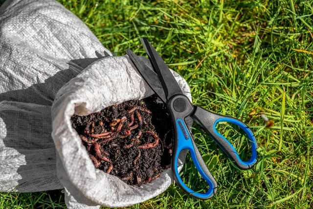 Preston Wurmschere Doppelklinge Edelstahl