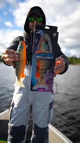 Fox Rage Jointed Replicant 32cm 355g Orange Belly Perch UV